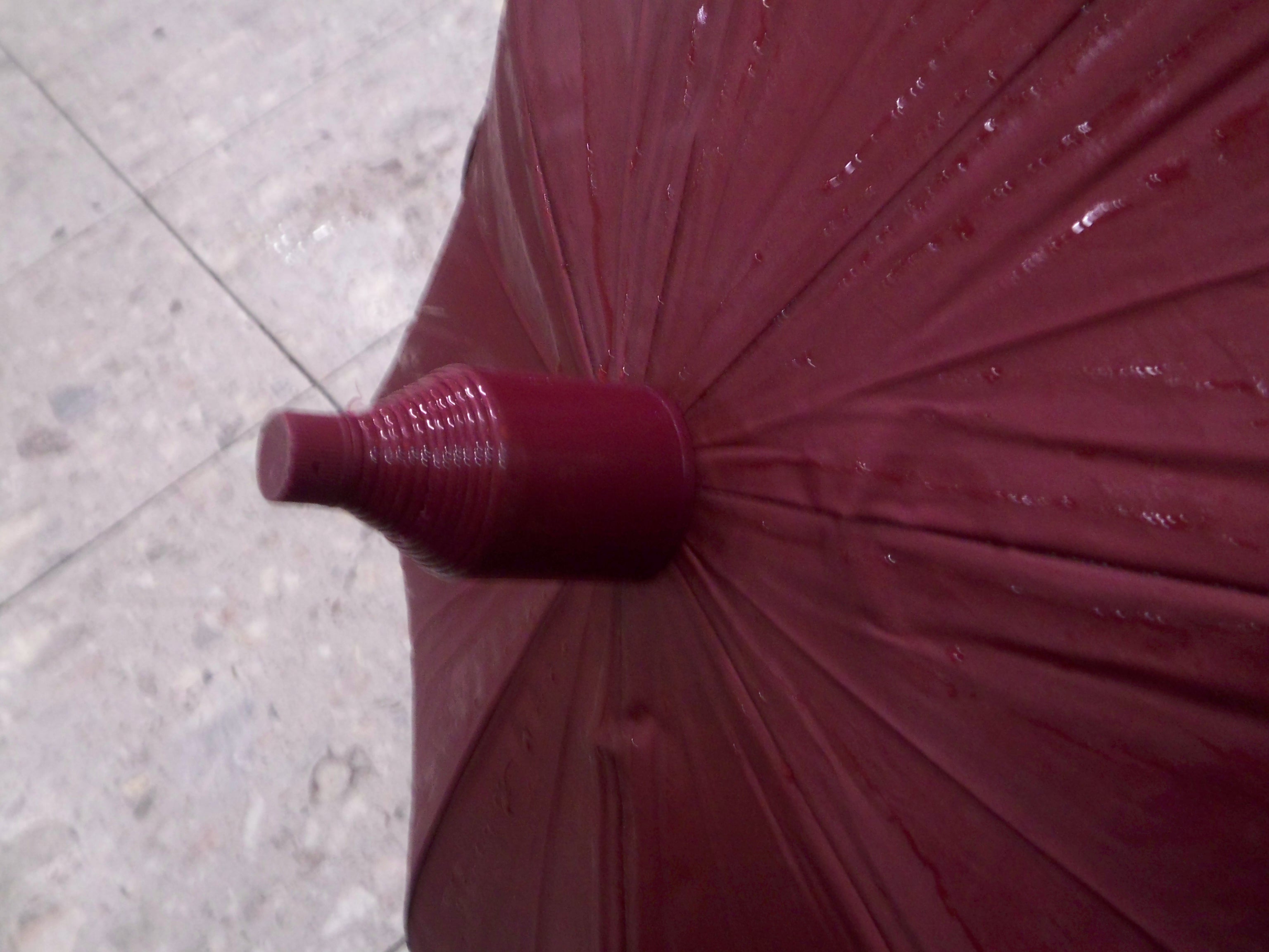 umbrella with case